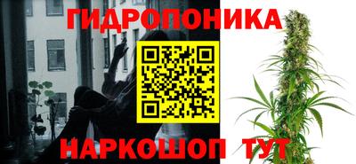 трава Абакан
