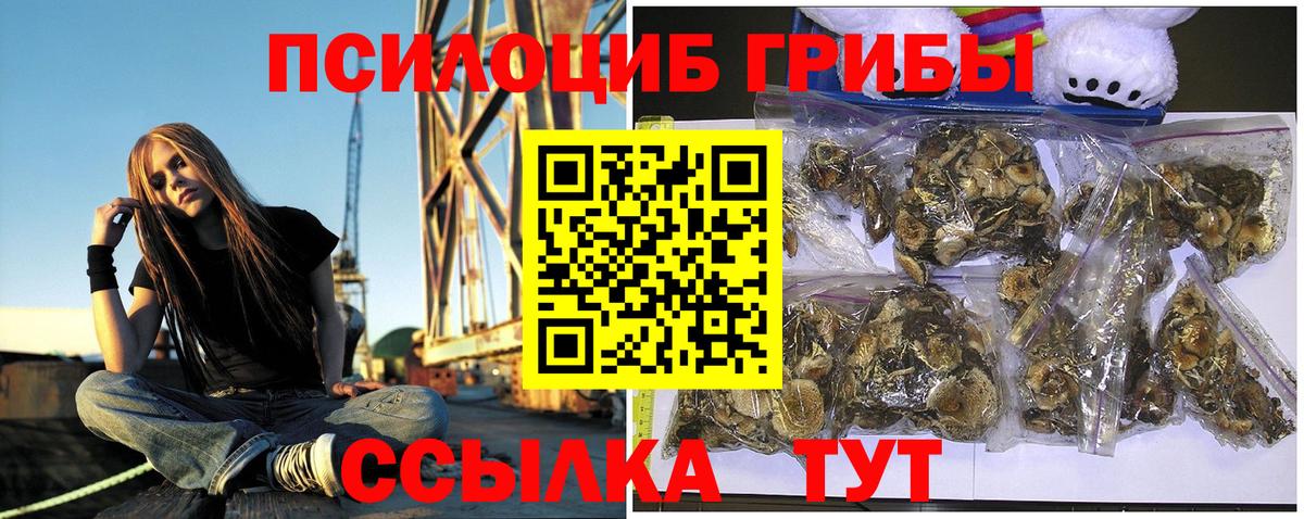 Алейск  Галлюциногенные грибы MAGIC MUSHROOMS  Галлюциногенные грибы Cubensis  Вход с VPN 