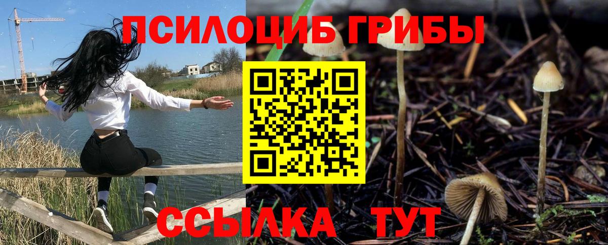 Псилоцибиновые грибы GOLDEN TEACHER Алейск