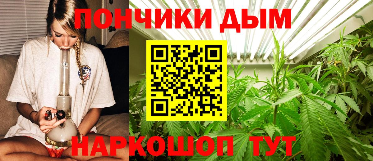 Бошки марихуана план  Каннабис план  Алейск  Вход с VPN  Конопля White Widow 